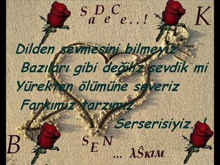 SaDeCe SeN