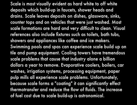 Scale Busters FAQ's About Pool Tile Cleaning