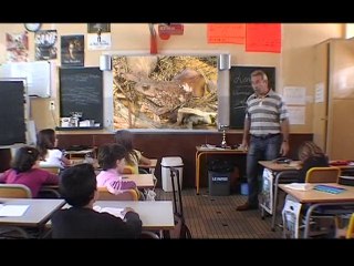 Les deux feuilles magiques
