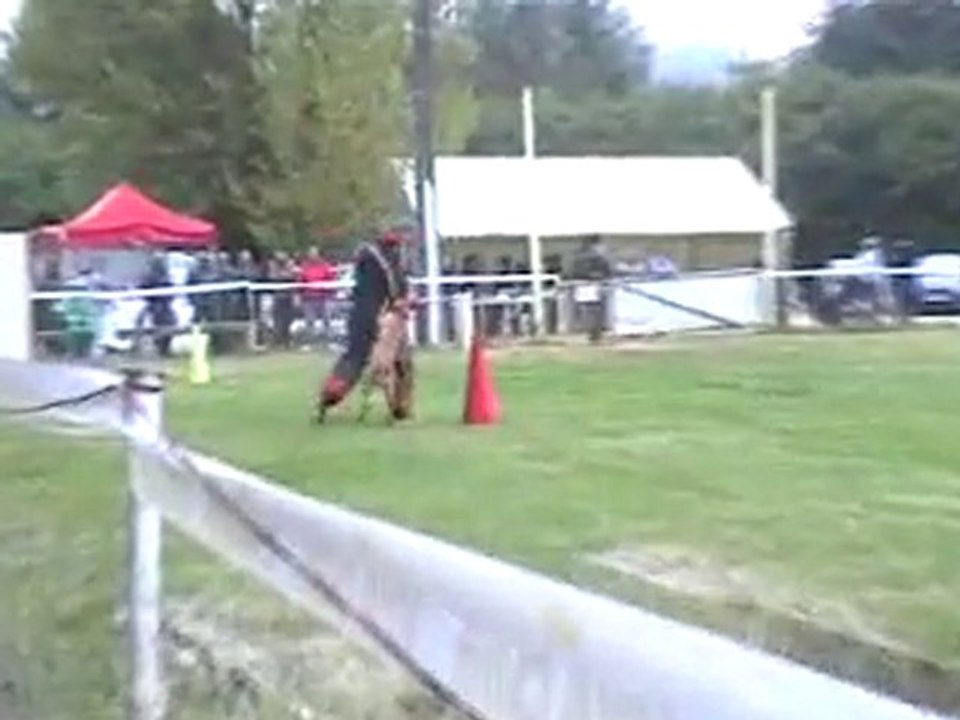 Dana des crocs blancs échelon 1 : 191.750 pts