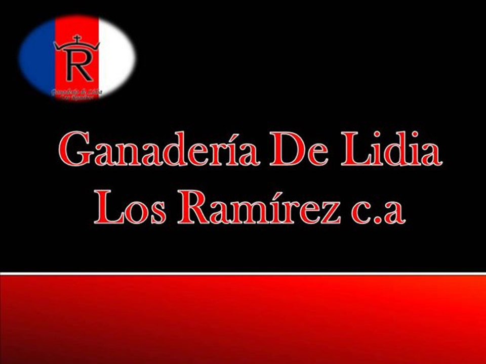 Ferias de San Cristobal 2011