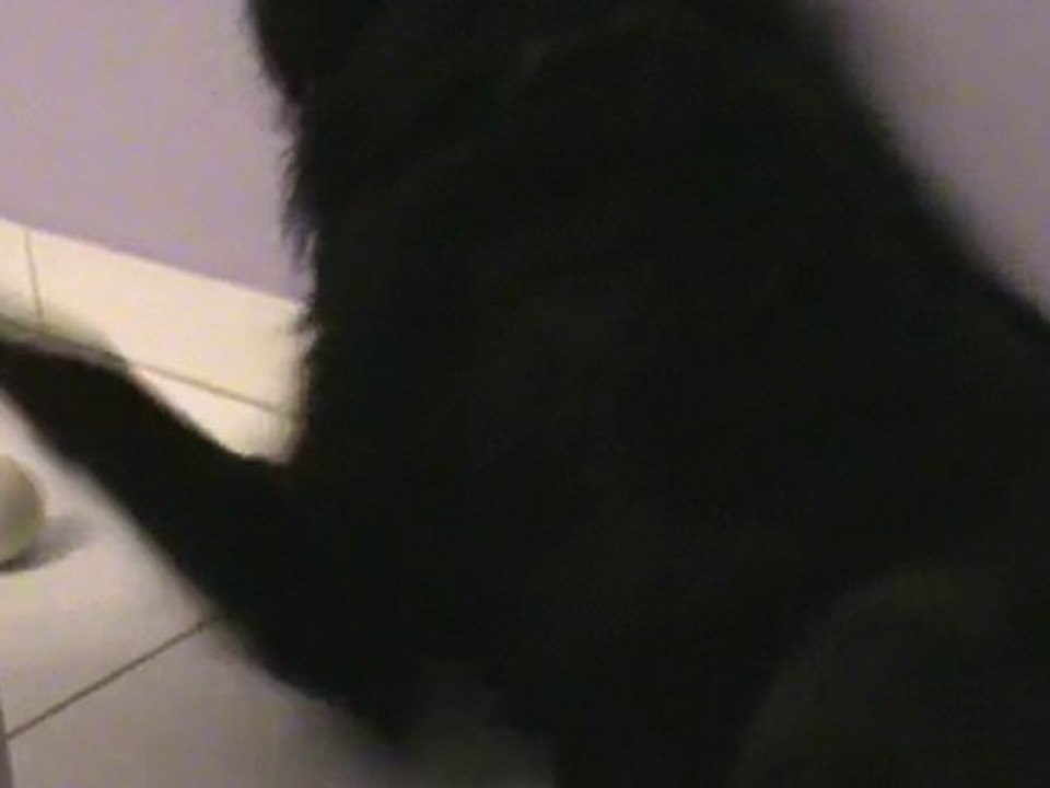 20101015210645