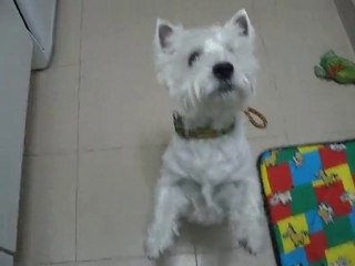 Besitos para que te animes