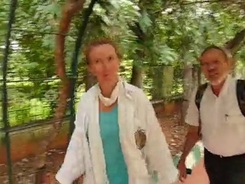 Lal Bagh jardin botanique à Bengalore, Inde