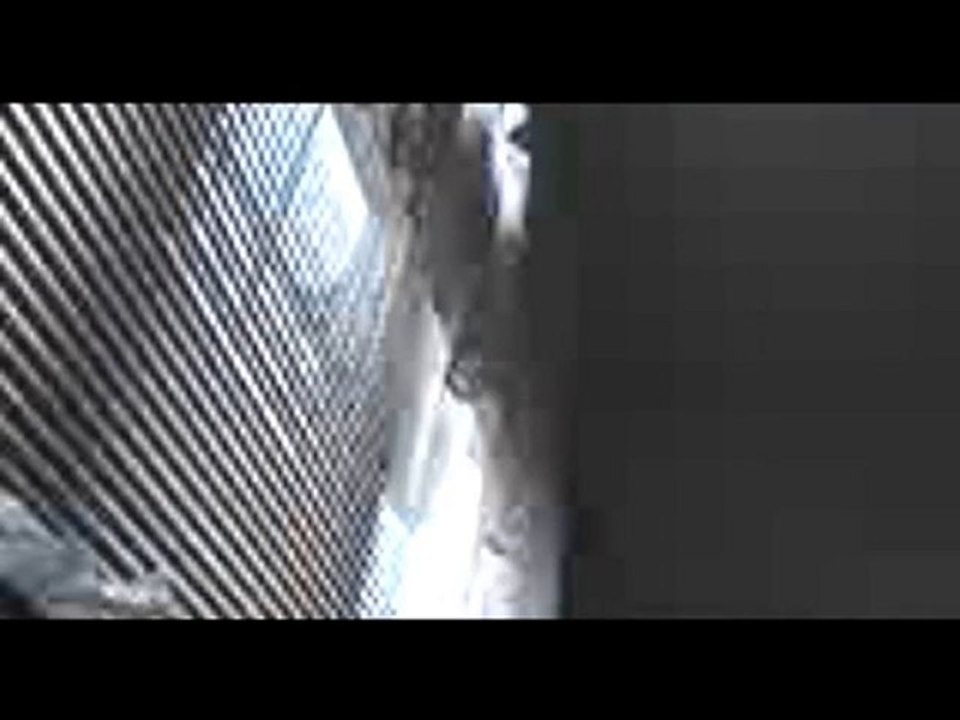 Video Journal 10 11 2010