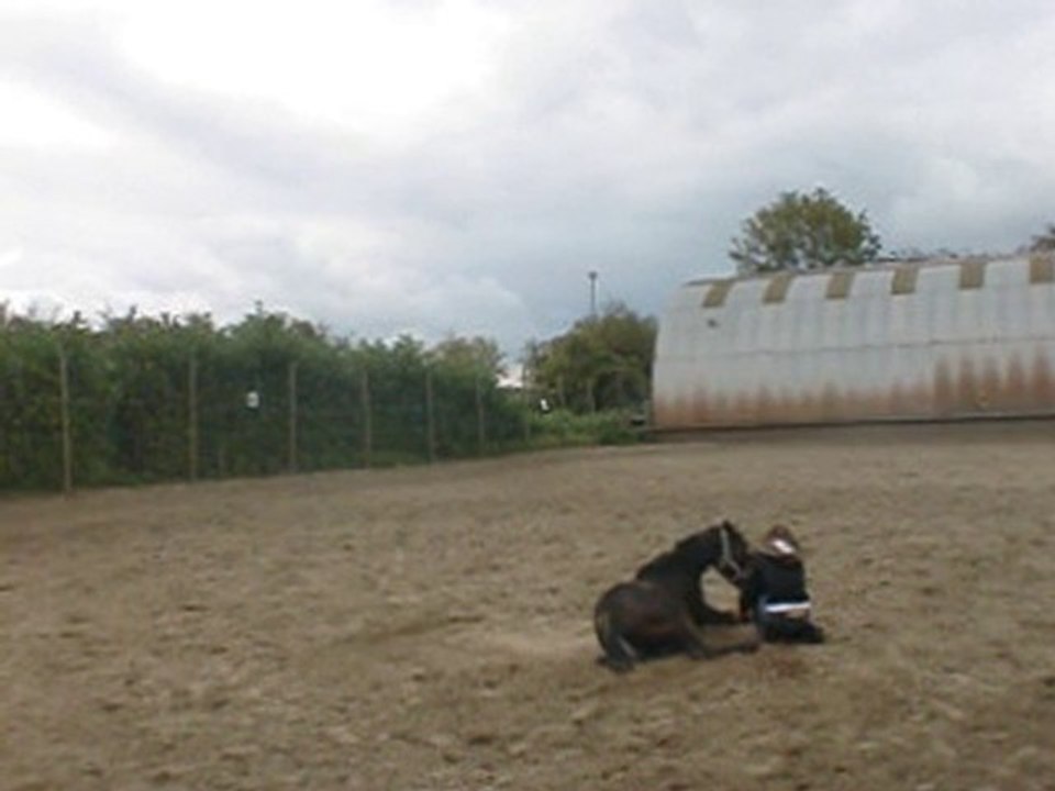 CIMG1068