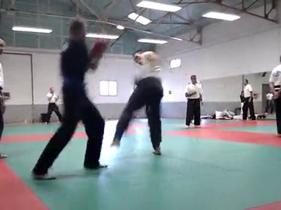 combat ceinture bleu