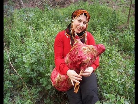 Çamlıhemşin - Manzara - pokut.org