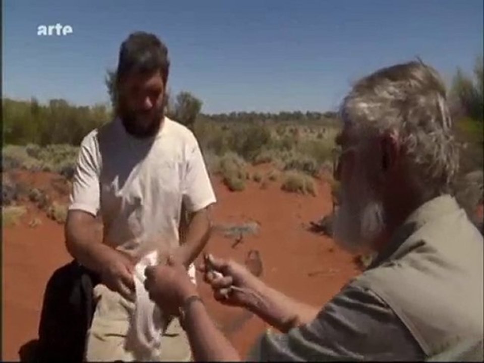 le varan roi des lezards partie 1