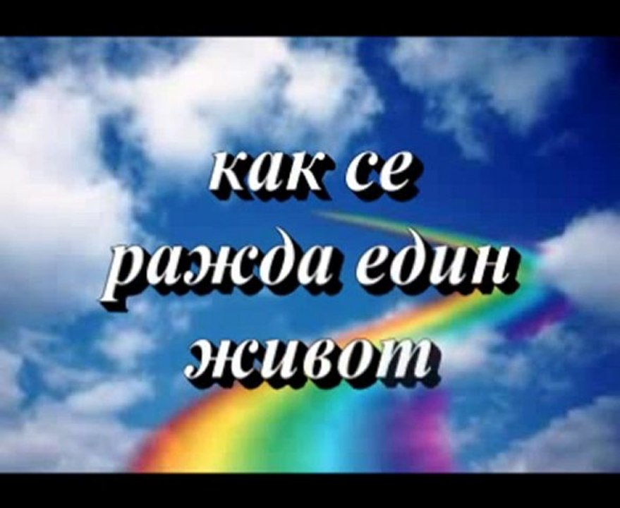 como empieza la vida - kak се ражда един живот