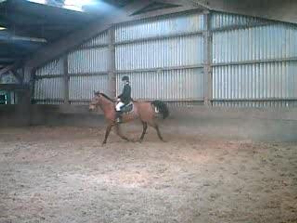 kellig & moi, galop 6