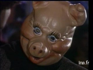 Interview vérité : Guillaume Faber