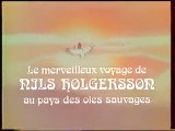 Génerique de la  Série Nils Holgersson 1998 Canal j