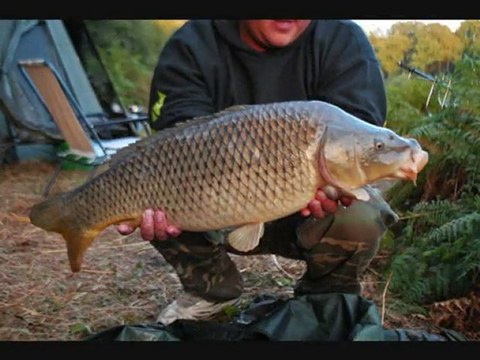 team pacifique carpe 15 carpe de +10kg + challenge 2010