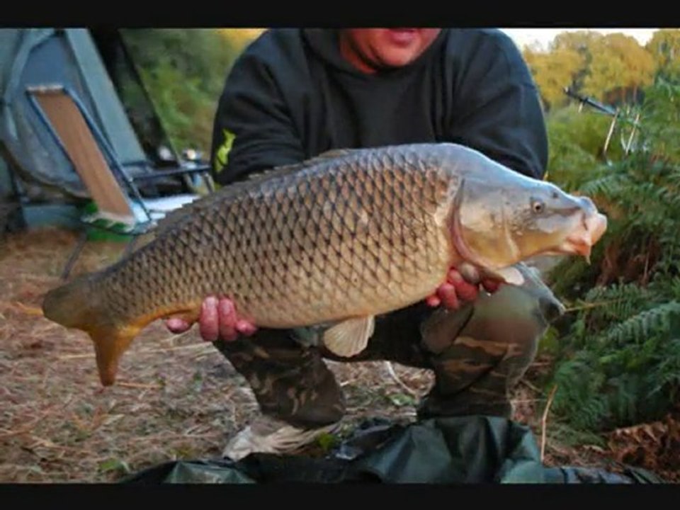 team pacifique carpe 15 carpe de +10kg + challenge 2010