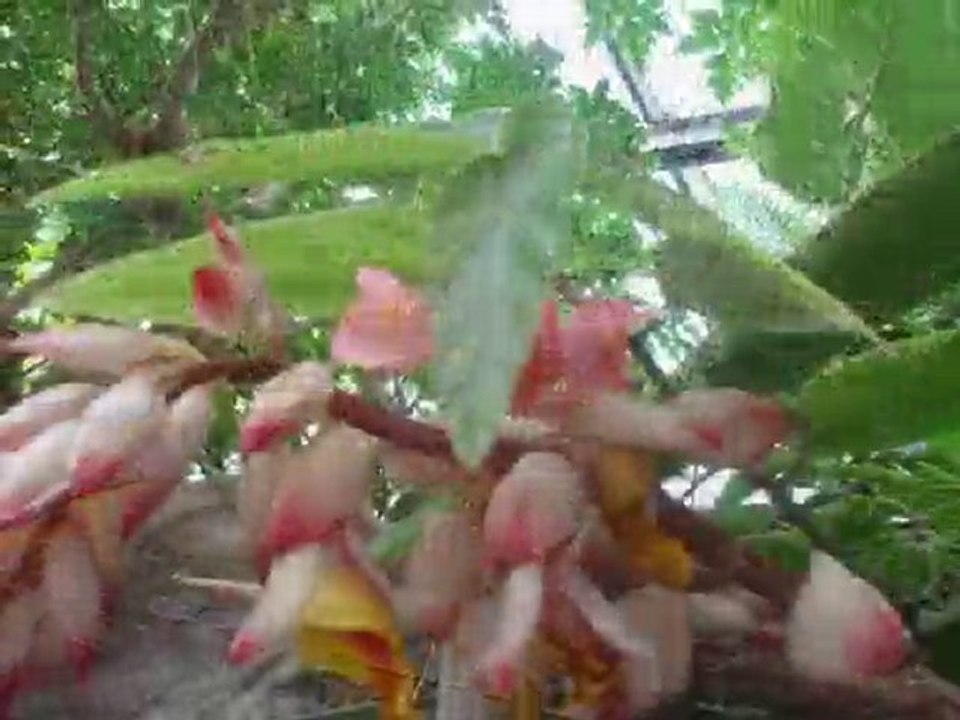 Voyage d'octobre 2010, la Drôme médiévale!