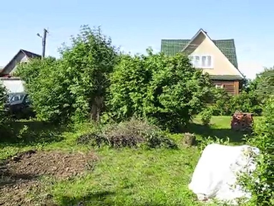 Dacha-2010