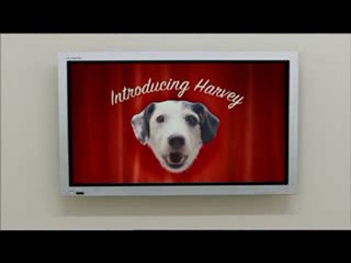 Mon nouveau toutou .mesfavorisites.com