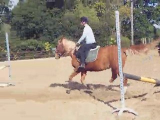 Téva en saut avec Vicky ♥