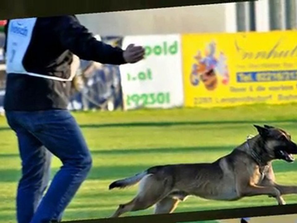 Portofilo-FCI-Quali-2011-Gruber/Apollon