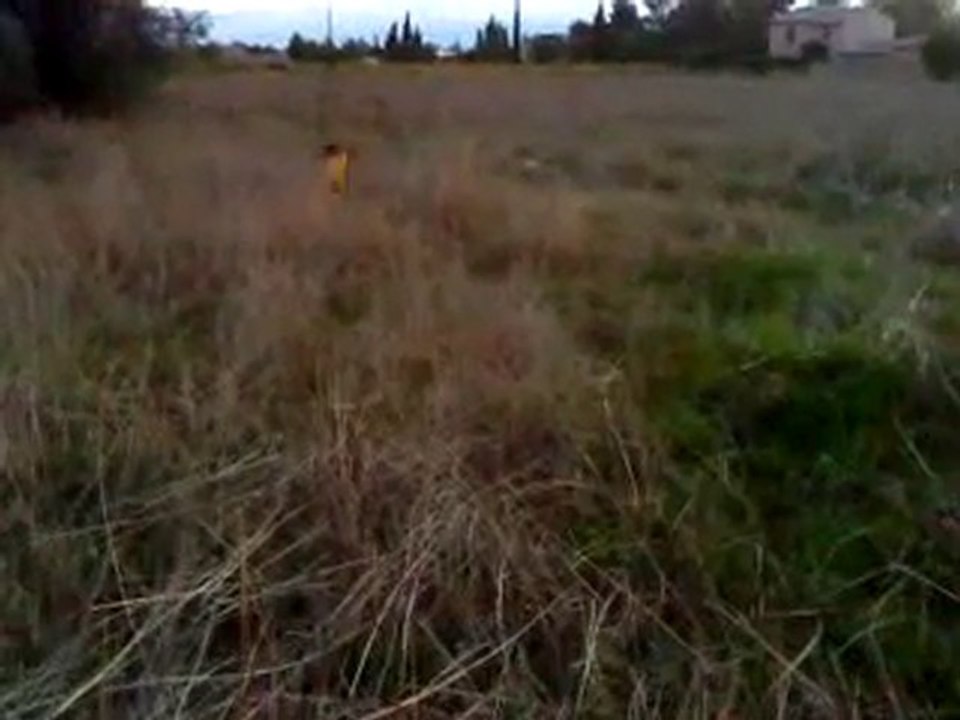 FRISBEE IMPROVISE 17-10-10