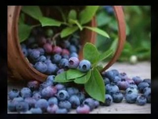 Natural Dyshidrotic Eczema Cures