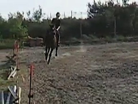 Manon de merval trotteur français galop