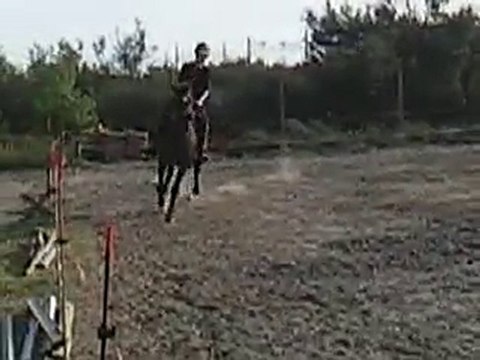 Manon trotteur français galop