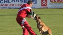 Portofilo FCI-Quali-2011-Schriefl/Greta