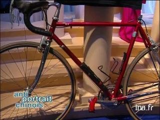 Anti portrait chinois de Alain Finkielkraut