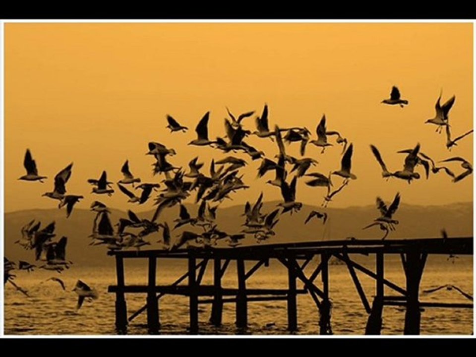 seni unutmaya çalışmak seni tekrar sevmeyi göze almaktır