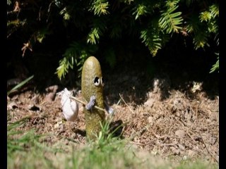 Cornelius – Episode 0 : Exil