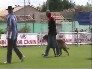 final ring bakari 2010 partie 1