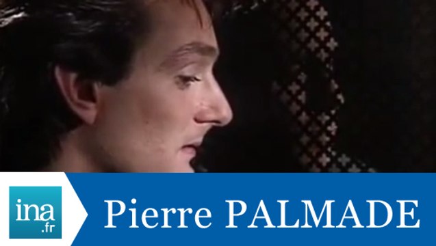Les confessions de Pierre Palmade - Archive INA