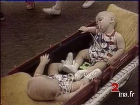 Info ? Intox ? Jumeaux de deux pères différents