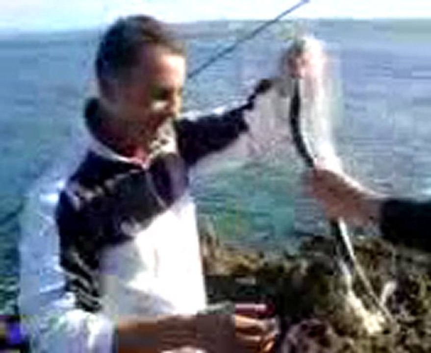 Le Brochet