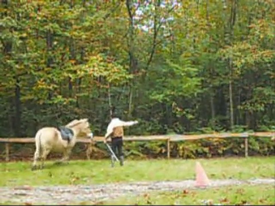 17 octobre 2010