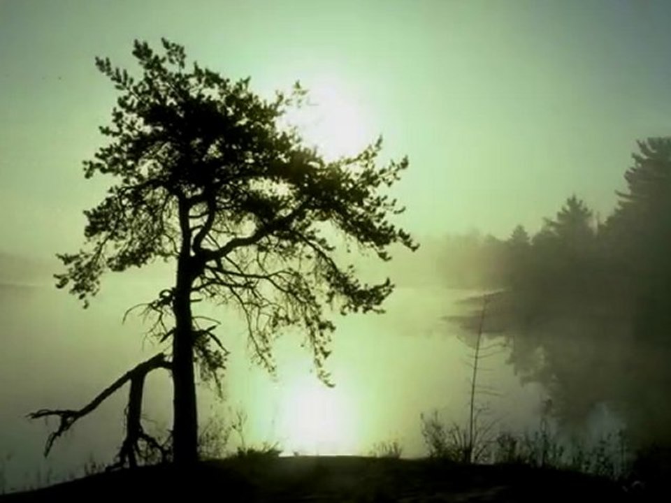 neşet ertaş yalan dünyadan