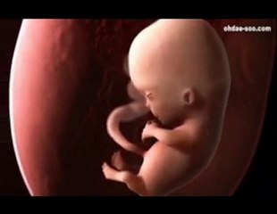 Allah Bizi Böyle Yarattı ! Hala Şükür Etmeyecek misiniz ?