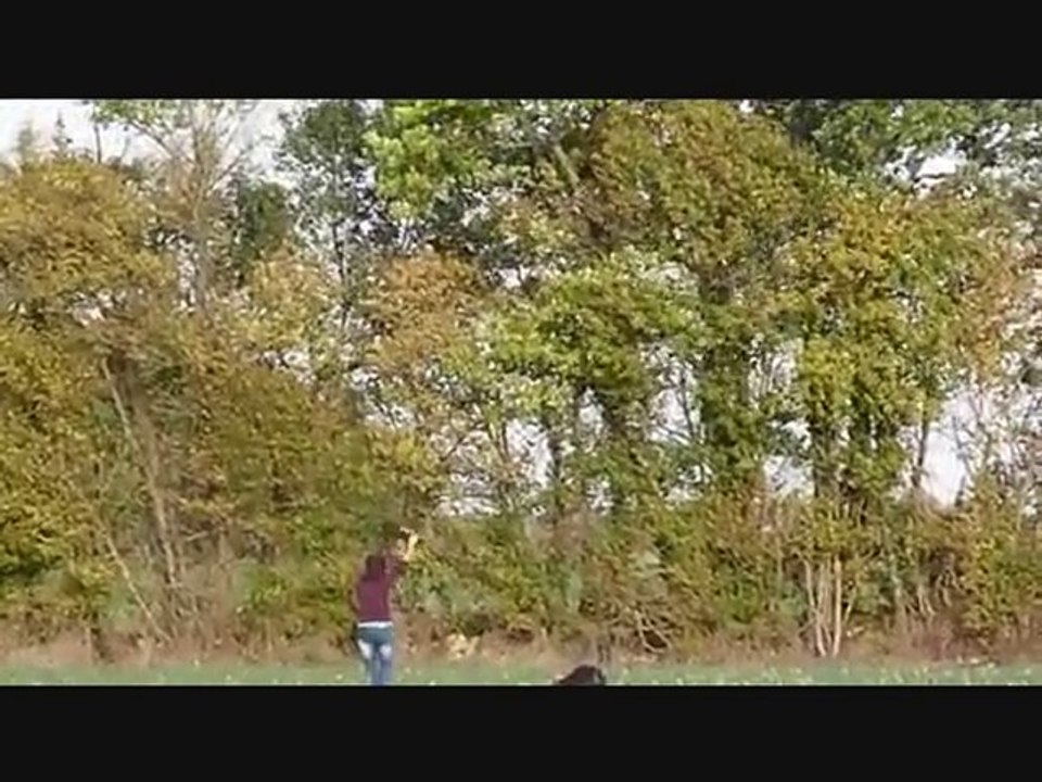 DARK ANGEL DU CLOS DU CLOS DE LA LUETTE BREVET RCI OCT 2010