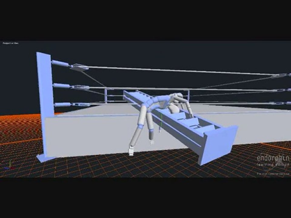 Endorphin Wrestling 11