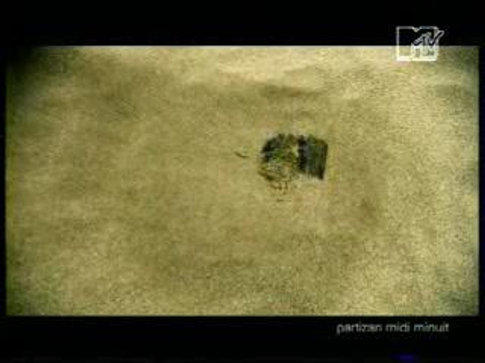 Noir Desir , Le Vent Nous Portera