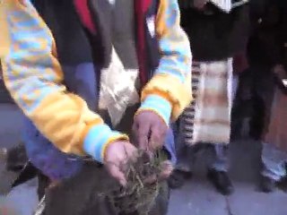 PT4 We’re Going To Keep Prophesy Against America.