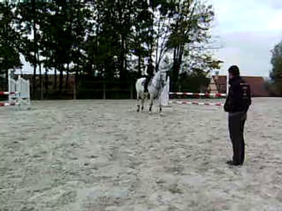 PICT3290