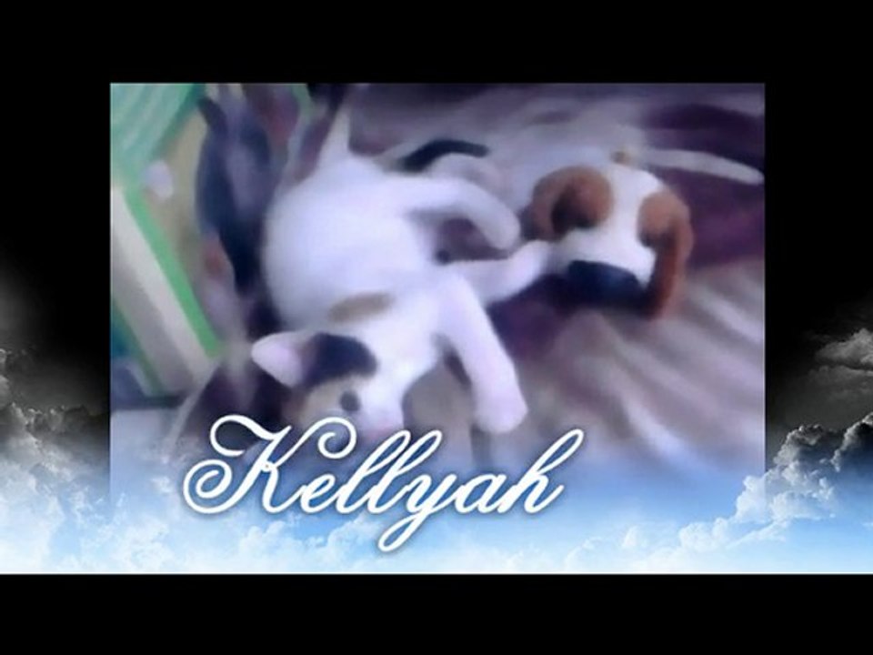 Kellyah