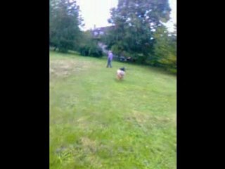 Gilou et Fanny dans le pré 17 oct 2010