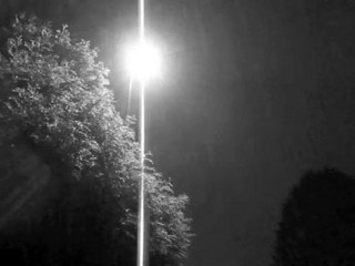 #21 Fiat LUX de  Colleen, Ulysse, et Matt