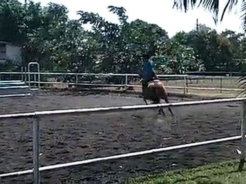 17.10.10 - entrainement obstacle - Isatis et moi