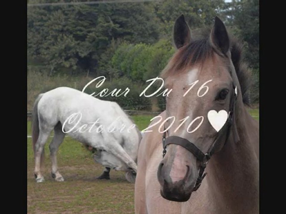 Nico ♥ en Saut :DDD