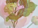 La Fleur Nouvelle.com - Compositions florales artificielles